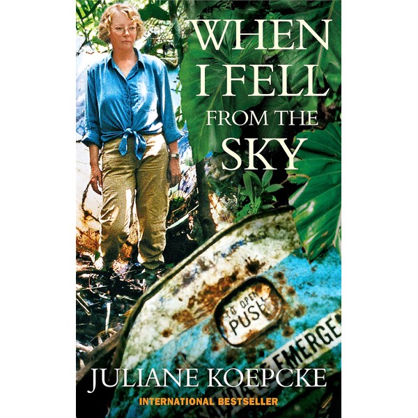 When I Fell from the Sky: The True Story of