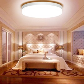 Ouyulong LED Ceiling Light