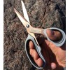 QMBasic Stainless Steel Titanium Scissors in Twin Pack | Kitchen