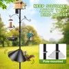 Bird Feeder Station with Squirrel Baffle and Bird Bath,Squirrel Proof