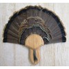 Taxidermists Woodshop The Medium Oak Turkey Mounting Kit with Beard