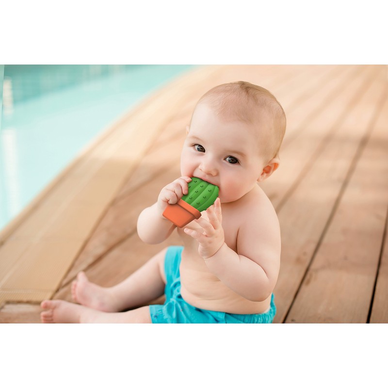 Genuine Fred - Fred Succulent mordedor