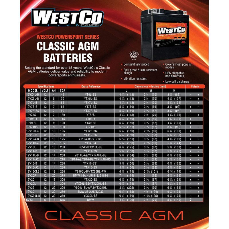 WestCo 12V9-B Factory Activated Maintenance-Free Rechargeable Sealed Lead-Acid Battery by