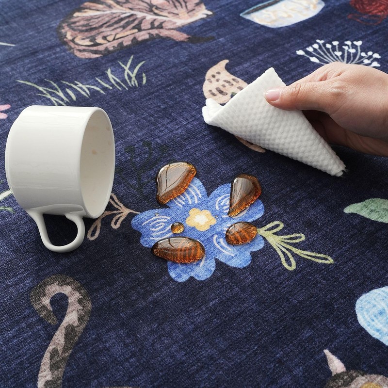 Rugcomf Living Room Rug 5x7 Rug Machine Washable Boho Area