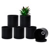D'vine Dev 6 Pack 4 Inch Modern Plastic Plant Pots,