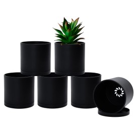 D'vine Dev 6 Pack 4 Inch Modern Plastic Plant Pots, Small Garden Planters for Plant with Drainage Holes and Saucers, Black Color, 74-Y-E-3