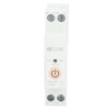 WiFi Switch Circuit Breaker 1P 63A Remote Voice Control Timing
