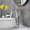 GGStudy Brushed Nickel Swan Shape Single Handle 1Hole Bathroom Vessel