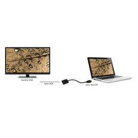 Link LKADAT19 DisplayPort Male to VGA Female Adapter 15cm