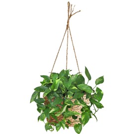 Riadyet 8-Inch Small-Caliber Woven Jute Hanging Planter – Seagrass Plant Basket, Decorative Hanging Plant Holder, Ideal for Home Décor and Storage