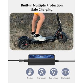 Volpam 42V Adapter for Volpam Electric Scooter VOLPAM SP06 / SP03 / SP06 GS / SPT7 SP03