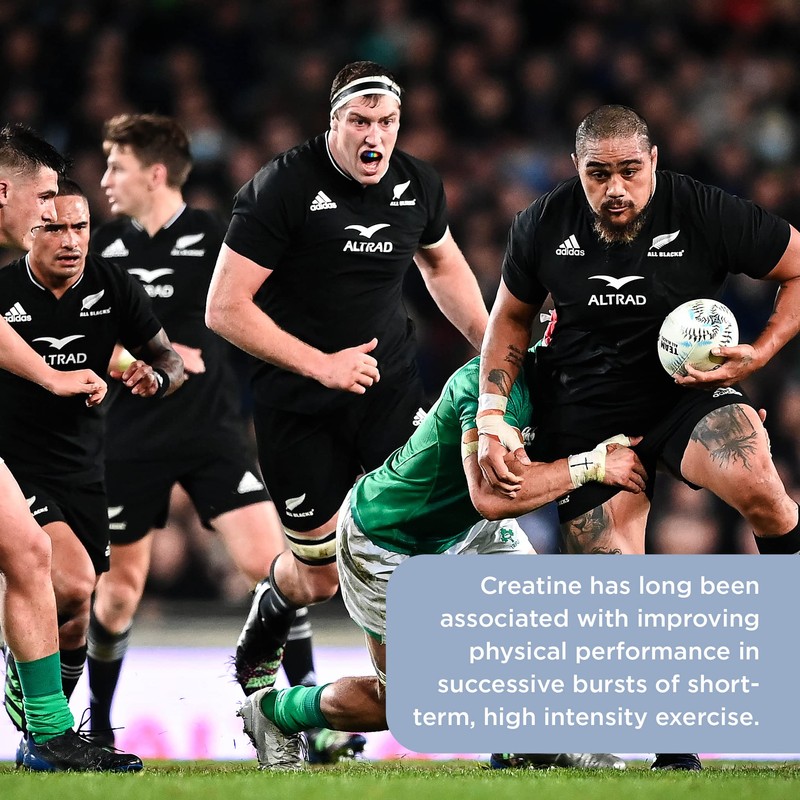 Healthspan Elite All Blacks Creatine Monohydrate (500g) | Increase Physical