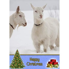 Goat Christmas Card 'Happy Christmas' - Special Xmas Card for Him Her Kids Male Female