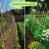 Jollybower 10pcs 1" D Thicker Heavy Duty Bamboo Stakes, 8FT