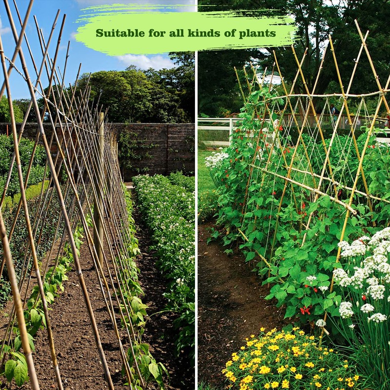 Jollybower 10pcs 1" D Thicker Heavy Duty Bamboo Stakes, 8FT