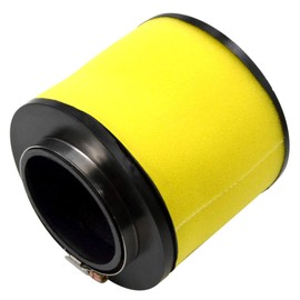AHL Air Filter with Oil Filter for Honda FourTrax 300 TRX300FW 4x4 1992-2000/FourTrax 300 TRX300 2x4 1992-2000 17254-HC5-900 15412-HM5-A10 15412-HM5-010