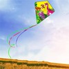 A pair of dinosaur kites, a pair of dinosaur kites