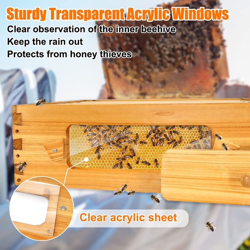 BeeCastle 8 Frame Deep Bee Hive Box, Langstroth Beehive Box