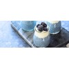 Honest to Goodness, Organic Blue Spirulina Powder, 70 grams -