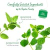 Bigelow Tea Mint Medley Té de hierbas, té de menta