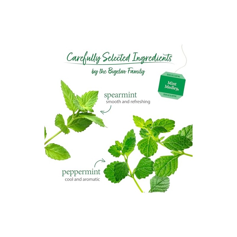 Bigelow Tea Mint Medley Té de hierbas, té de menta