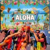 Hawaiian Aloha Party Decoration Hawaii Party Decoration Summer Luau Beach