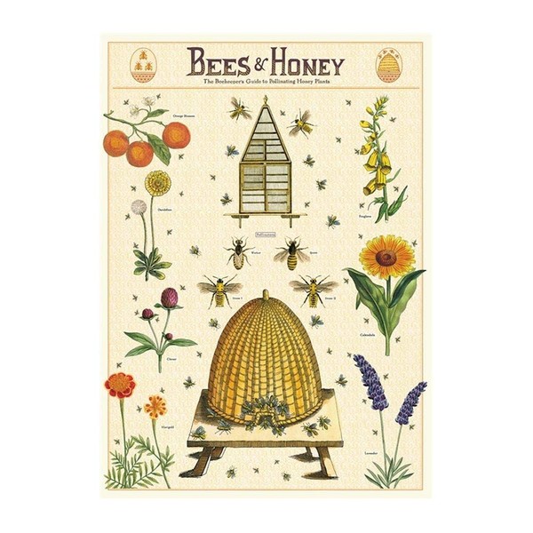 Cavallini & Co. Decorative Paper Sheet, Bees & Honey 2,