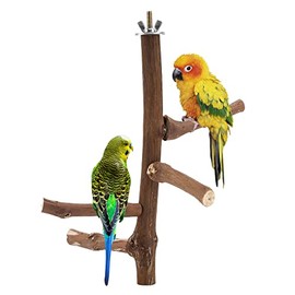 CozyCabin Natural Parrot Bird Perch Stand, Hanging Multi Branch Grapevine Parrot Perch Bird Cage Toys for Small Budgies Conure Parakeets Cockatiels Lovebirds