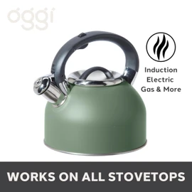 OGGI Tea Kettle for Stove Top - 64oz / 1.9lt, Stainless Steel with Loud Whistle, Ideal Hot Water Kettle and Water Boiler - Sage