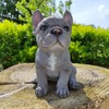 Vivid Arts - Pet Pals Blue French Bulldog Home or