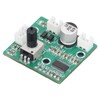 60W Mini Mono High Power Amplifier Module HIFI Digital Small