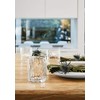 Bormioli Rocco Cooler Glass, Set of 4, 16.25 oz, Clear
