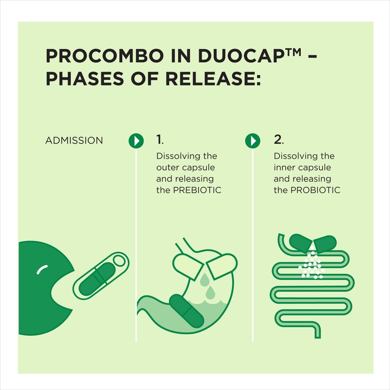 ProCombo - The Smart synbiotic with targeted delivery of The