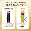 Lux Super Rich Shine Moisture Mini Moisturizing Shampoo and Conditioner