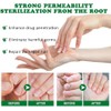 Ginger Nail, Tratamiento de Uñas con Jengibre, Soporte para Uñas,