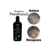 Shampoo Pintakanas 4 Piezas Sin Peroxido Ni Amoniaco