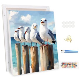 EOBROMD Paint by Numbers Adult Kit with Frame for Beginner Animals Seagulls, DIY Kits Crafts peinture a numero adulte, Paint by Numbers for Home Decor Gift 30x40cm