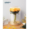 wisedry Flower Preservation Kit, Flower Drying Kit with Silica Gel