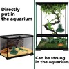 Chameleon Feeder Bearded Dragon Feeder for Mounted Insect with Rope