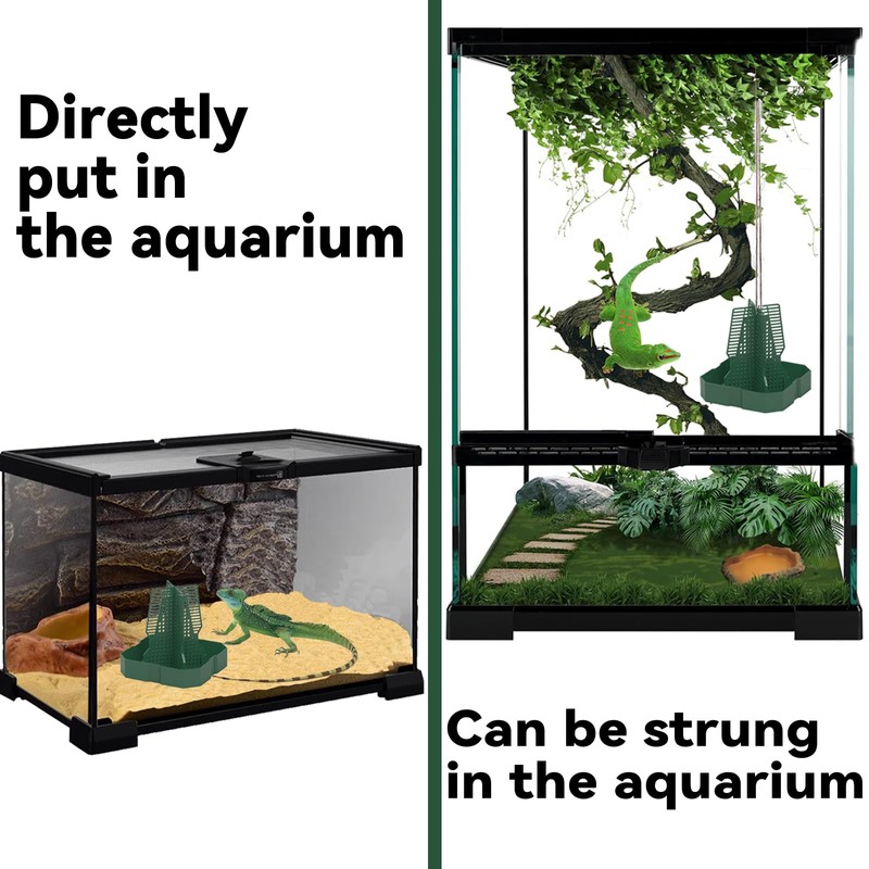 Chameleon Feeder Bearded Dragon Feeder for Mounted Insect with Rope