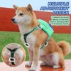 DoggieKit Dog Backpack Harness with Leash,Cute Pet Puppy Backpacks Bulid-in