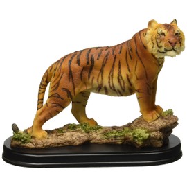 StealStreet SS-G-19712 Bengal Tiger Collectible Wild Cat Animal Decoration Figurine Statue
