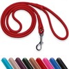OOPSDOGGY Rolled Leather Dog Lead 6ft Heavy Duty Training Leash