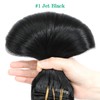 SURNEL Hair Extensions Clip in Human Hair #1 Jet Black