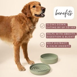 Should We Go? - The Slowdown Bowl - Silicone Slow Feeder for Dogs & Puppies, Slow Eating, Modern Lick Mat Design, Reduces Gulping, Dishwasher Fit, for All Breed, Mealtime Challenge, Large-Charcoal
