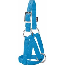 Weaver Leather Livestock Goat Halter Hurricane Blue, 3/4-Inch