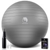 Slim Panda Exercise Ball, Yoga Ball for Workout, Birthing, Stability,