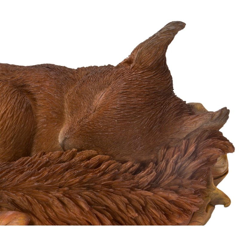 Vivid Arts Sleeping Baby Red Squirrel in Leaf | Resin
