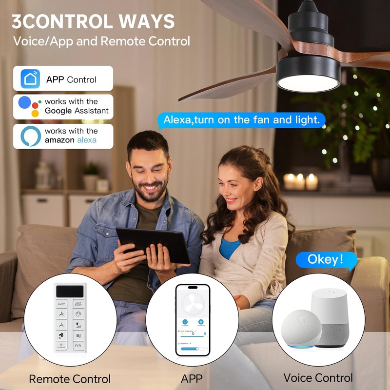 CACI Mall 48 inch Ceiling Fans with Lights, Smart Indoor/Outdoor