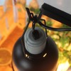 ZYAMY 4pcs Fixing Clip Reptile Dual Lamp Stand Lamp Hanger